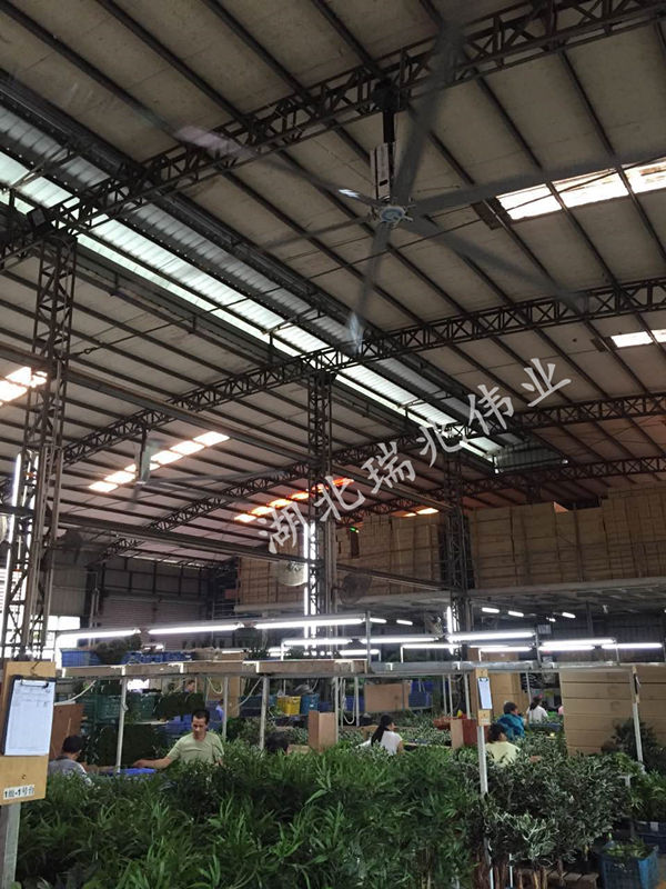 大型工業(yè)吊扇，效果好且省錢