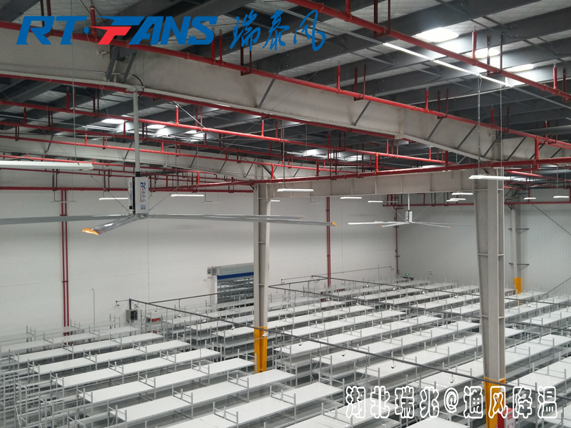 工業(yè)大風(fēng)扇具體的通風(fēng)降溫效果怎么樣，有什么作用呢